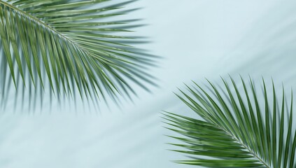 Fototapeta premium Green Palm Leaves on Light Blue Surface Simple, Minimalist, Calming, Tropical Vibe.