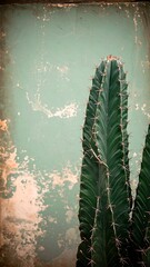 Tall cactus against textured background
