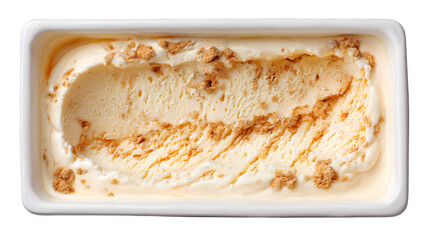 cinnamon-flavored ice cream in tray top view isolated on white