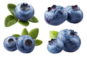 Four close-up views of fresh blueberries with leaves. Each cluster of blueberries are wet with water droplets, showcasing their deep indigo color and textured skin. 