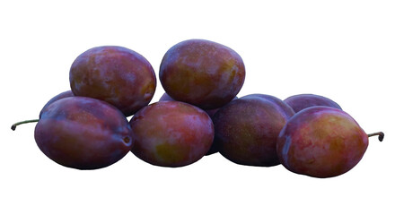 Obraz premium A large red ripe plum stands.