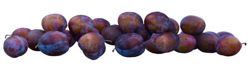 A large red ripe plum stands.
