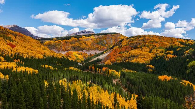 Colorado Aspens During Fall Foliage, Beautiful Day Hyperlapse with Clouds