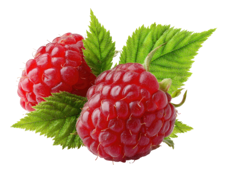 Two vibrant red raspberries, fresh and juicy, sit atop green leaves against a black background.  Close-up view highlights the textured skins and glossy surfaces of the berries