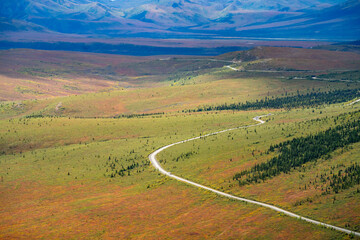 Denali National Park landscape when autumn starts. Hues of gold, rust, and deep amber shifting away from green ones.