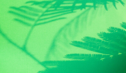 Background green abstract line shadow overlay on cement wall floor beige mockup product cosmetic summer tropical nature presentation frame template eco backdrop environment