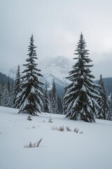 Fototapeta premium Fairytale winter landscape with coniferous forest and snow