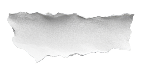 A torn piece of white paper.  Rough edges, irregular shape