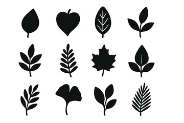 Fototapeta premium Leaf silhouette vector icon set. Collection of black plant and foliage symbols. Botanical graphic elements for eco, nature, and organic design. Maple, ginkgo, and fern shapes.