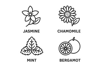 Outline Tea Flavors Icons Set with Jasmine Blossom, Chamomile Flower, Mint Leaf, Bergamot Citrus, Herbal Infusions and Aromatic Tea Ingredients Vector Cartoon Illustration