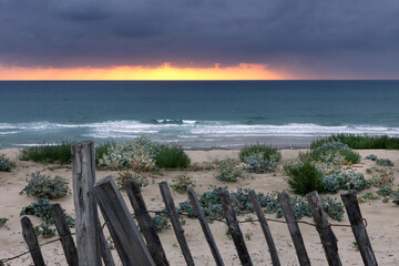 Obraz premium La plage