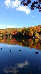 Obraz premium Fall Foliage Lake Reflections