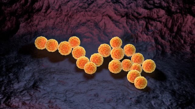 West Nile Virus (2)