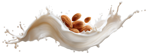 Almond nuts splashing in creamy milk wave, isolated on transparent cutout background
