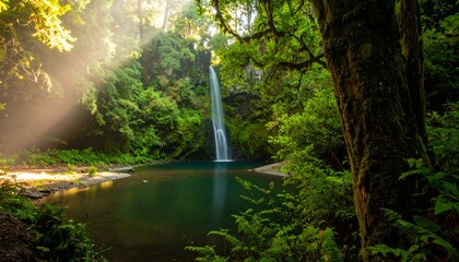 Lush waterfall cascading into tranquil pool