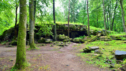 Destroyed WWII bunker ruins found in the forest covered with moss, shrubs, and other flora.