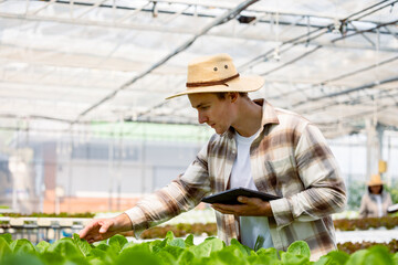 Young farmer using digital tablet inspecting fresh vegetable in organic farm.