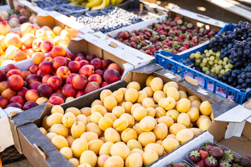 Assorted fresh fruits in cardboard boxes at local farmer market, top view of seasonal produce including apricots, nectarines, grapes, strawberries and blueberries, natural food background