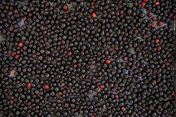 Top view of many fresh blackcurrant berries on metal tray for drying in the sun, organic fruit preparation outdoors, homemade food preservation, sustainable lifestyle, natural processing