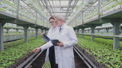 Male and female biology scientists exploring new species of agricultural crops