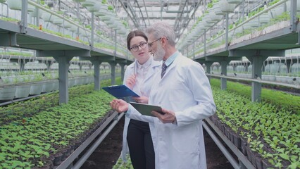 Experienced botanist mentoring trainee on plant breeding in greenhouse