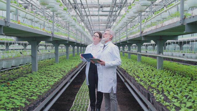 Specialists exploring greenhouse farming and hydroponic growing techniques