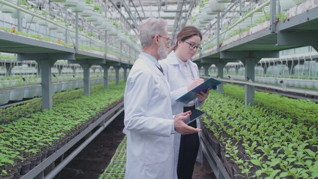 Plant specialist guiding trainee through greenhouse cultivation methods