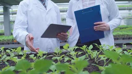 Botanists examining plants in hothouse, making notes, typing on tablet, work