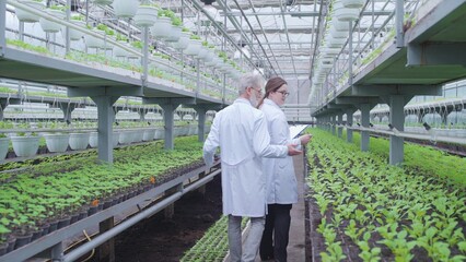 Male and female scientists walking in hothouse, examining ornamental plants