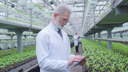 Mature biology scientist typing his observations in greenhouse on tablet, research