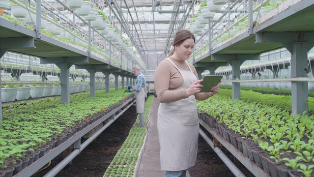 Smiling female farmer inspects seedlings in greenhouse, using tablet for data tracking