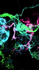 Colorful Abstract Light Trails on Black Background