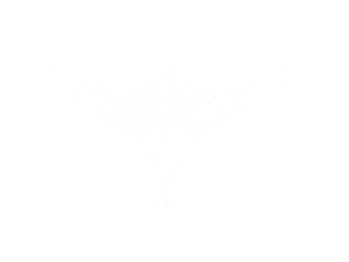 Abstract white emblem, cross with wings, intricate lines