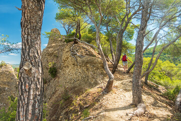 Wandern über die Gipfel der versteinerten penitents des mées in der Provence