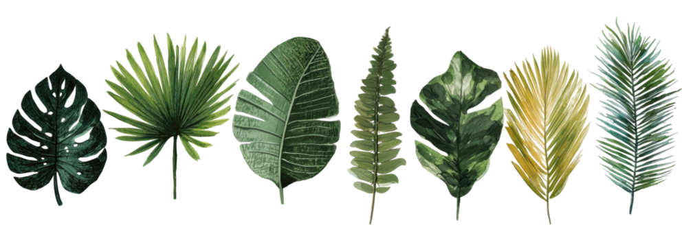 Diverse tropical leaves in various shades of green and yellow