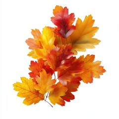 Autumn Branch
