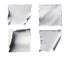Obraz premium Four torn square pieces of white paper