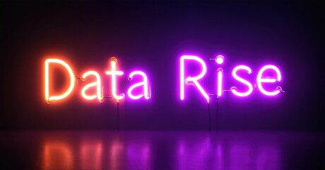 Bright neon sign displays words Data Rise. Vivid colors contrast against dark background. Reflective surface below adds visual interest.