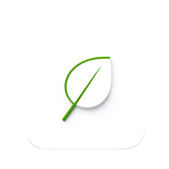 Clean green leaf shape with stem abstract nature graphic element isolate Plant Organic