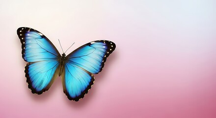Beautiful Light Blue Butterfly on Soft Background.