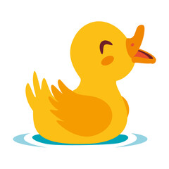 duck happy swimming vector