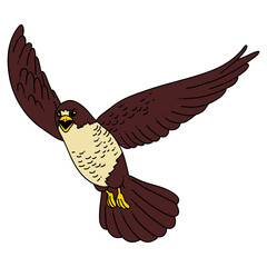 eagle flying illustration