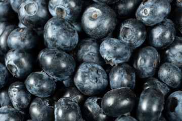 Macro View of Organic Blueberries. Natural Berry Background.