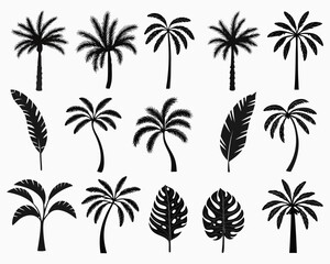 Collection of black silhouette palm trees and tropical leaves