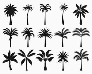 Collection of diverse black palm tree silhouettes on a white background