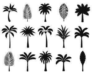 Obraz premium Collection of diverse black palm tree silhouettes and palm leaves