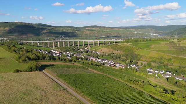 Moselle Viaduct Longuich, vineyard in Mosel valley, bridge of highway crossing river near Trier, german autobahn, aerial view