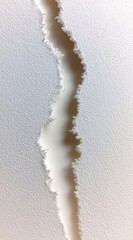 Intricate Torn Edge of White Paper with Soft Shadows and Minimalist Aesthetic
