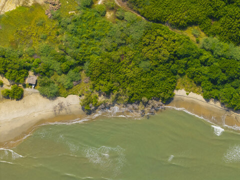 Aerial view of golden sands meet the tranquil turquoise waters, fringed by verdant trees and a small building, Puerto Colombia, Atlantico, Colombia.