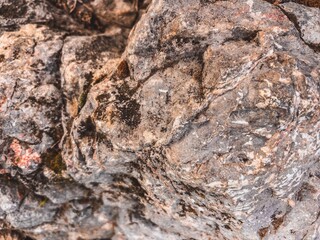 Detailed Texture of a Weathered Gray Stone